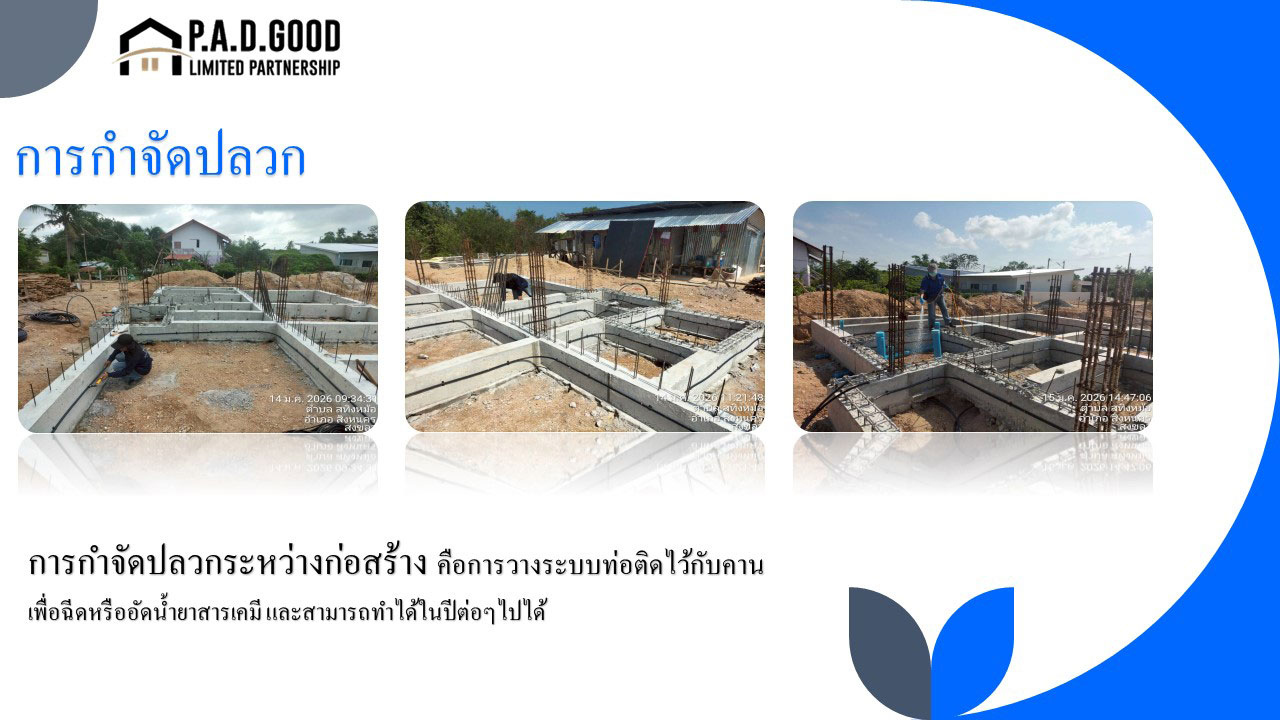กำจัดปลวกระหว่างก่อสร้าง