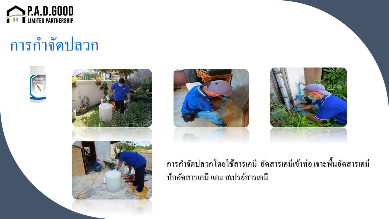 กำจัดปลวกโดยใช้สารเคมี