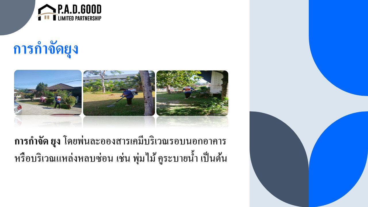การกำจัดยุง